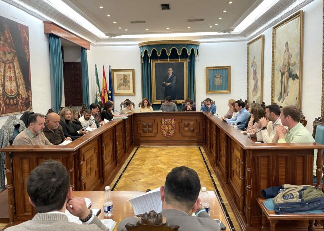 Pleno enero 2025