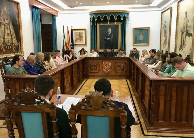 pleno febrero 2025