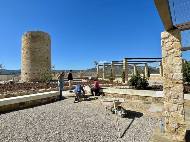 Torre Fuente Álamo PFEA
