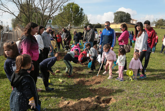 replantación en Santa Ana AMPA Rajostán
