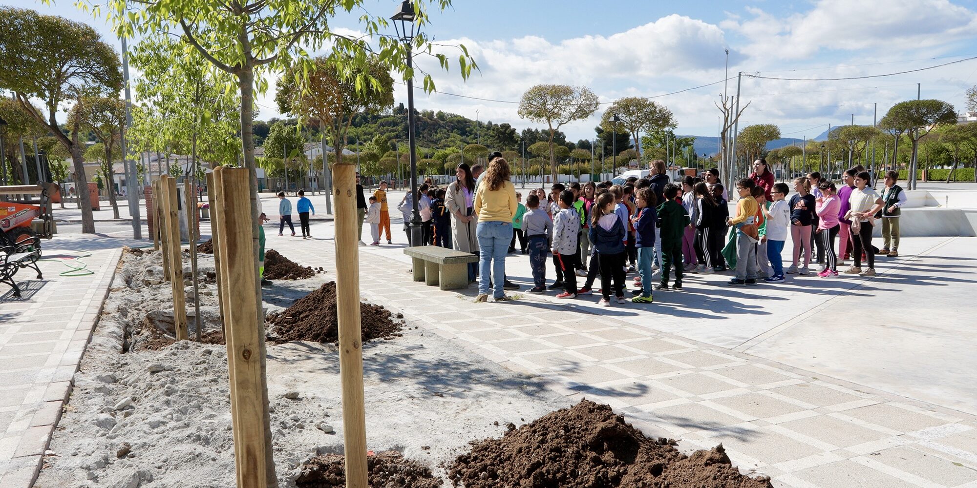 Árboles ferial Alonso Alcalá