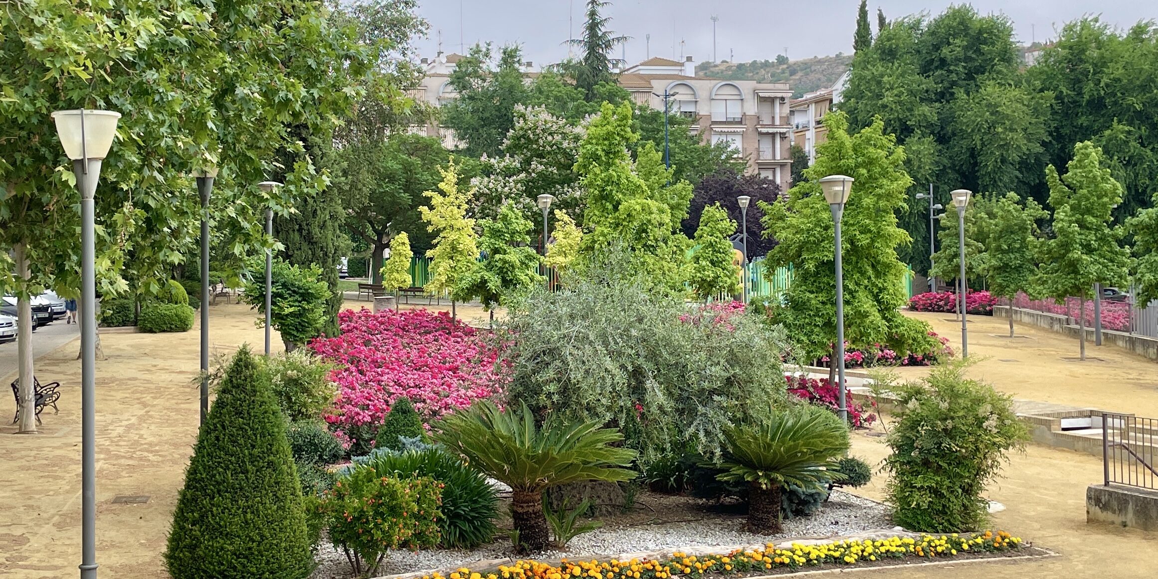 Jardines plantas Campero