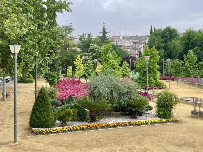 Jardines plantas Campero