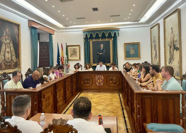 Pleno junio 2025