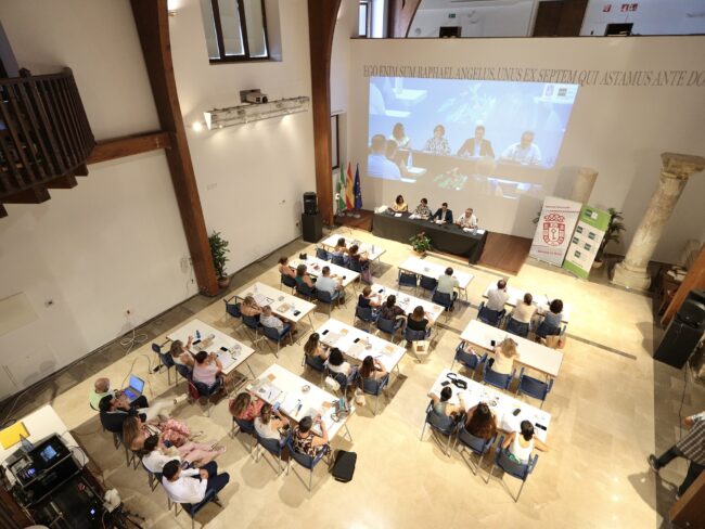 Cursos verano UNED 2025 Salud Mental Juvenil público