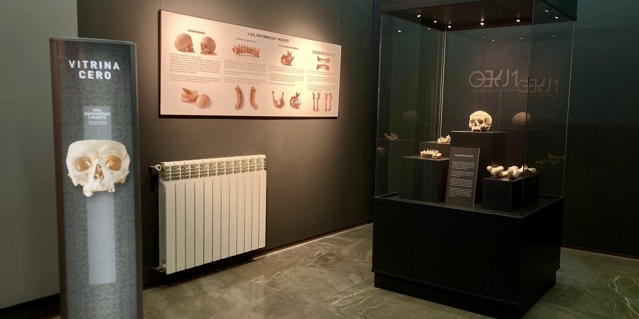 Exposición “Vida, enfermedad y muerte”