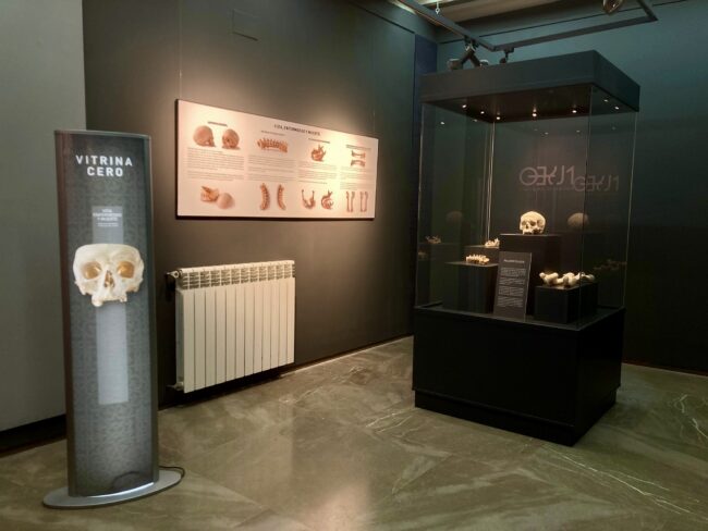 Exposición “Vida, enfermedad y muerte”