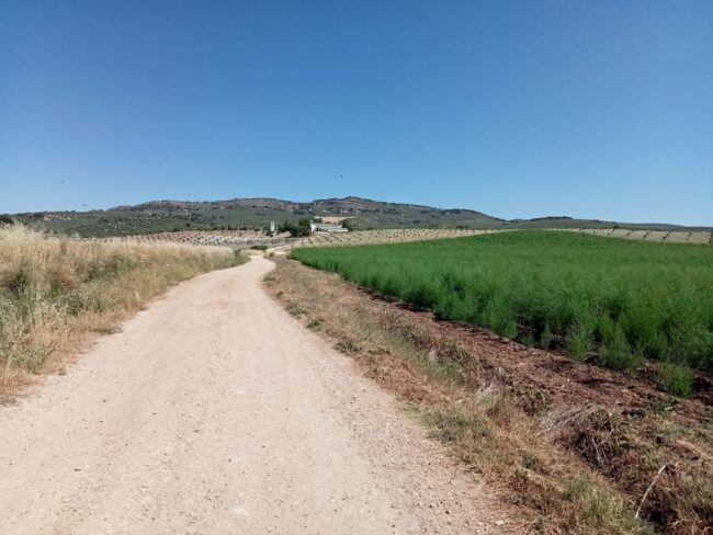 foto camino rural